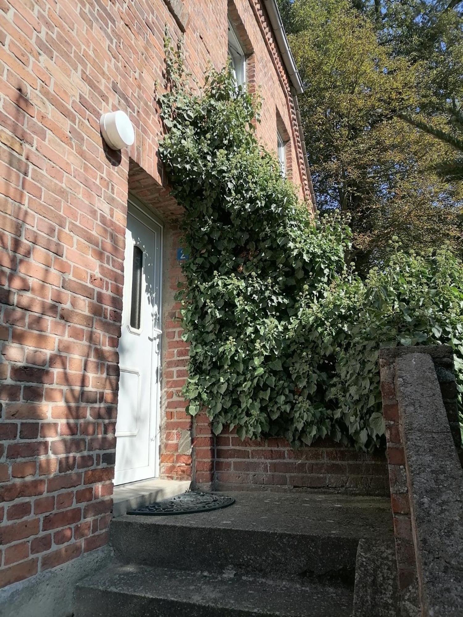 Gutshaus Tussen Schwerin En Wismar Appartement